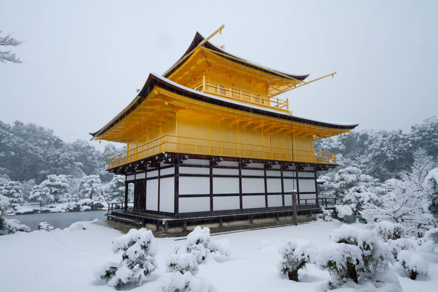 Kinkakujicho, Kita Ward, Kyoto, Kyoto Prefecture 603-8361, Japan - panoramio (3).jpg