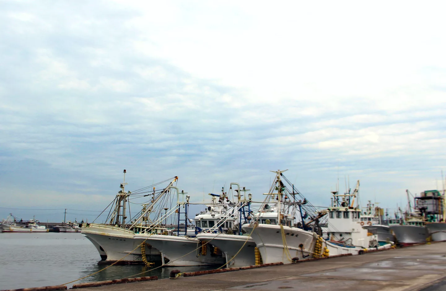 Katakai fishing port 20190306.jpg
