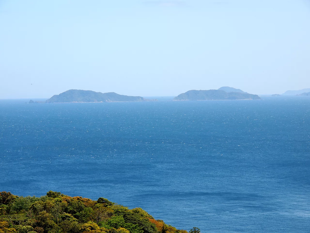 Tsukumi mukushima.jpg