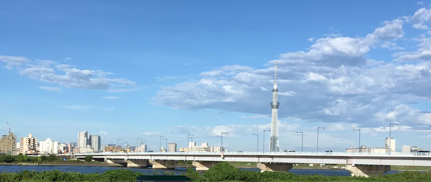 Hirai-Oohashi bridge,Tokyo.jpg