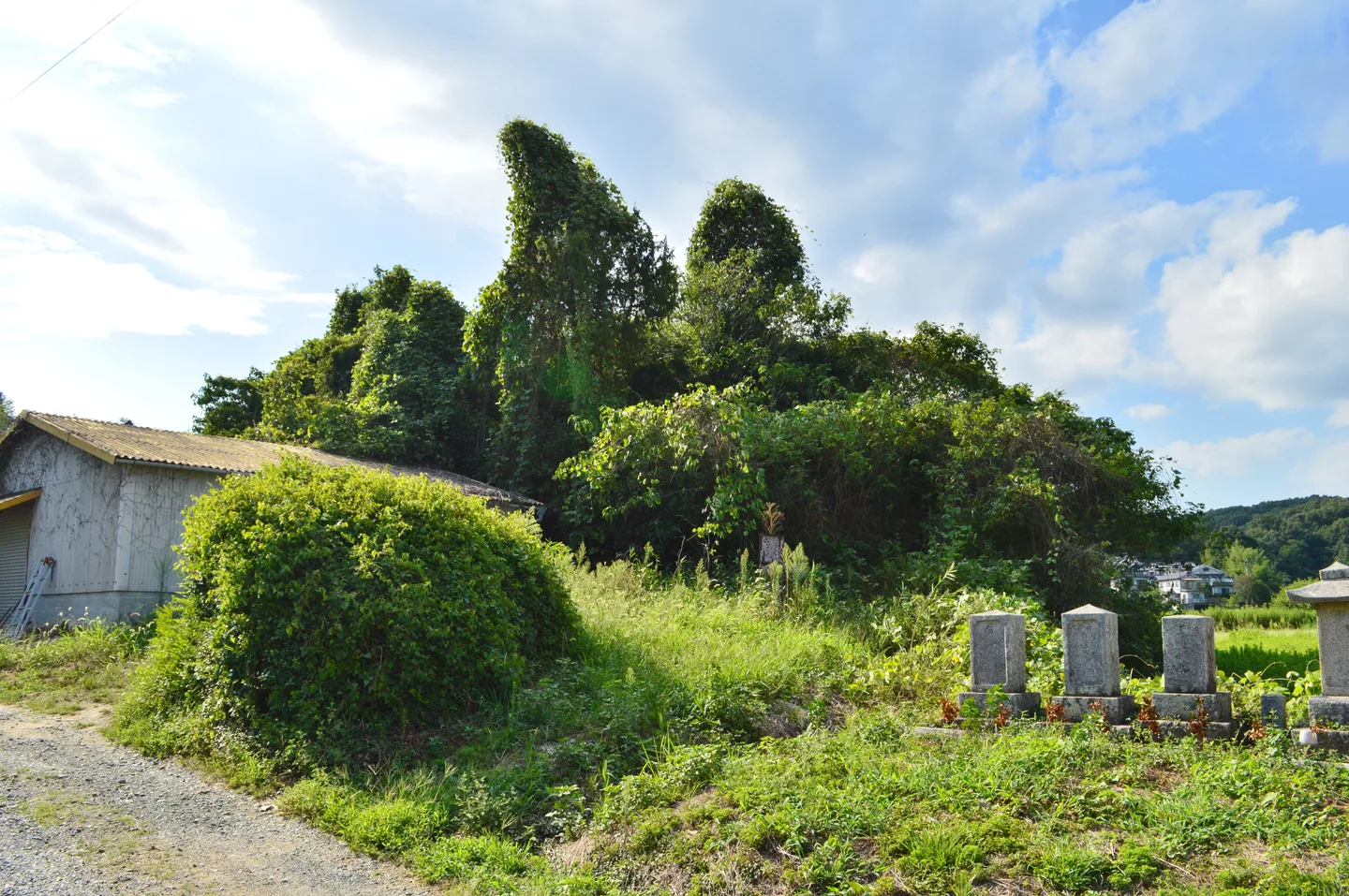 Yamanokami Kofun (Fukuyama), funkyu-1.jpg