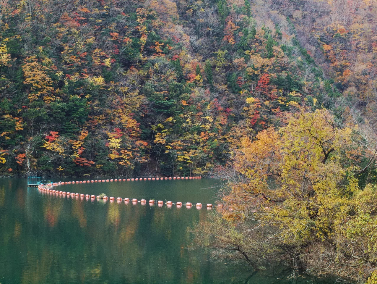 Komadate, Toyone, Kitashitara District, Aichi Prefecture 449-0402, Japan - panoramio (3)