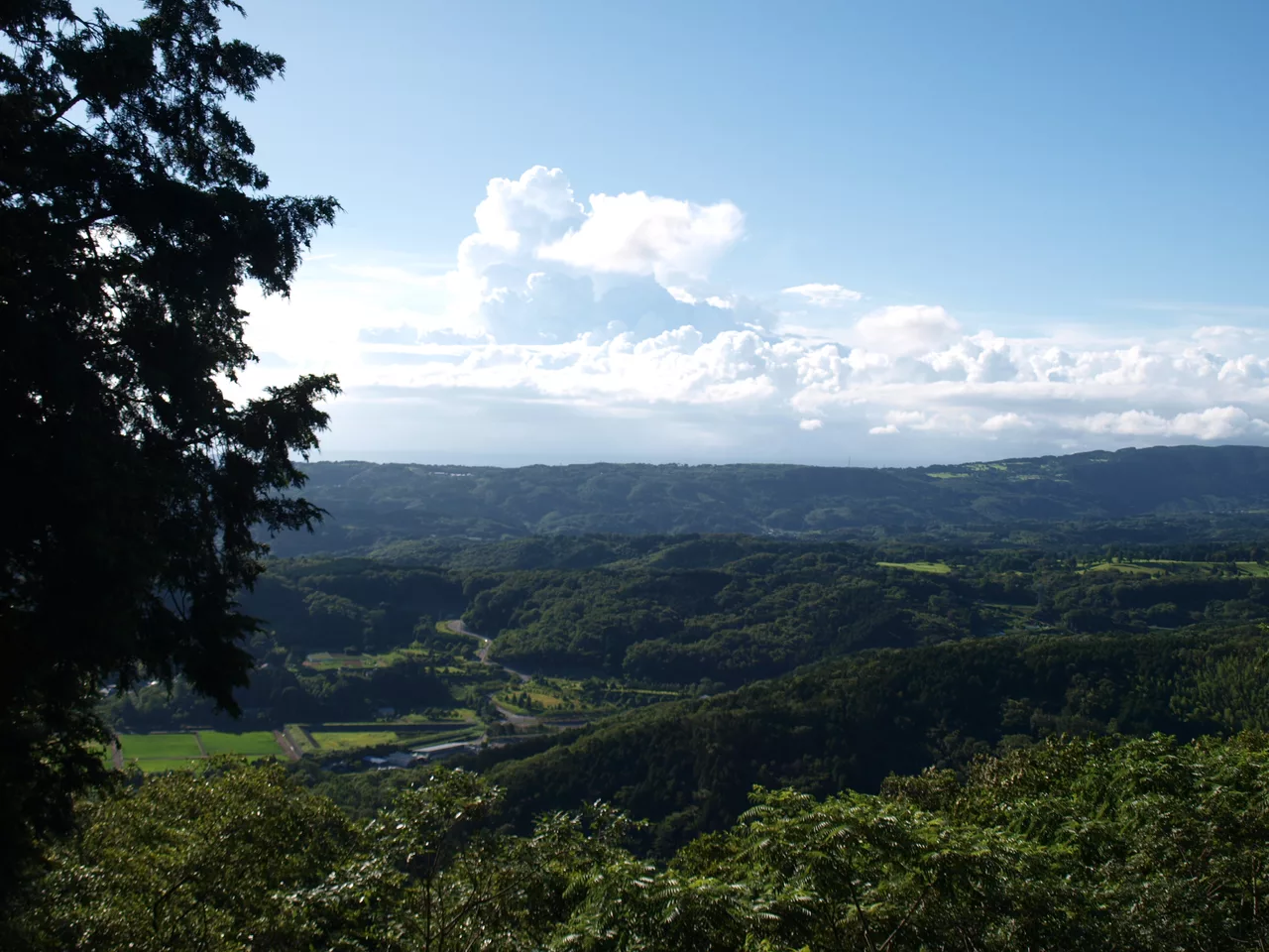 Izunokuni city 20090726.jpg