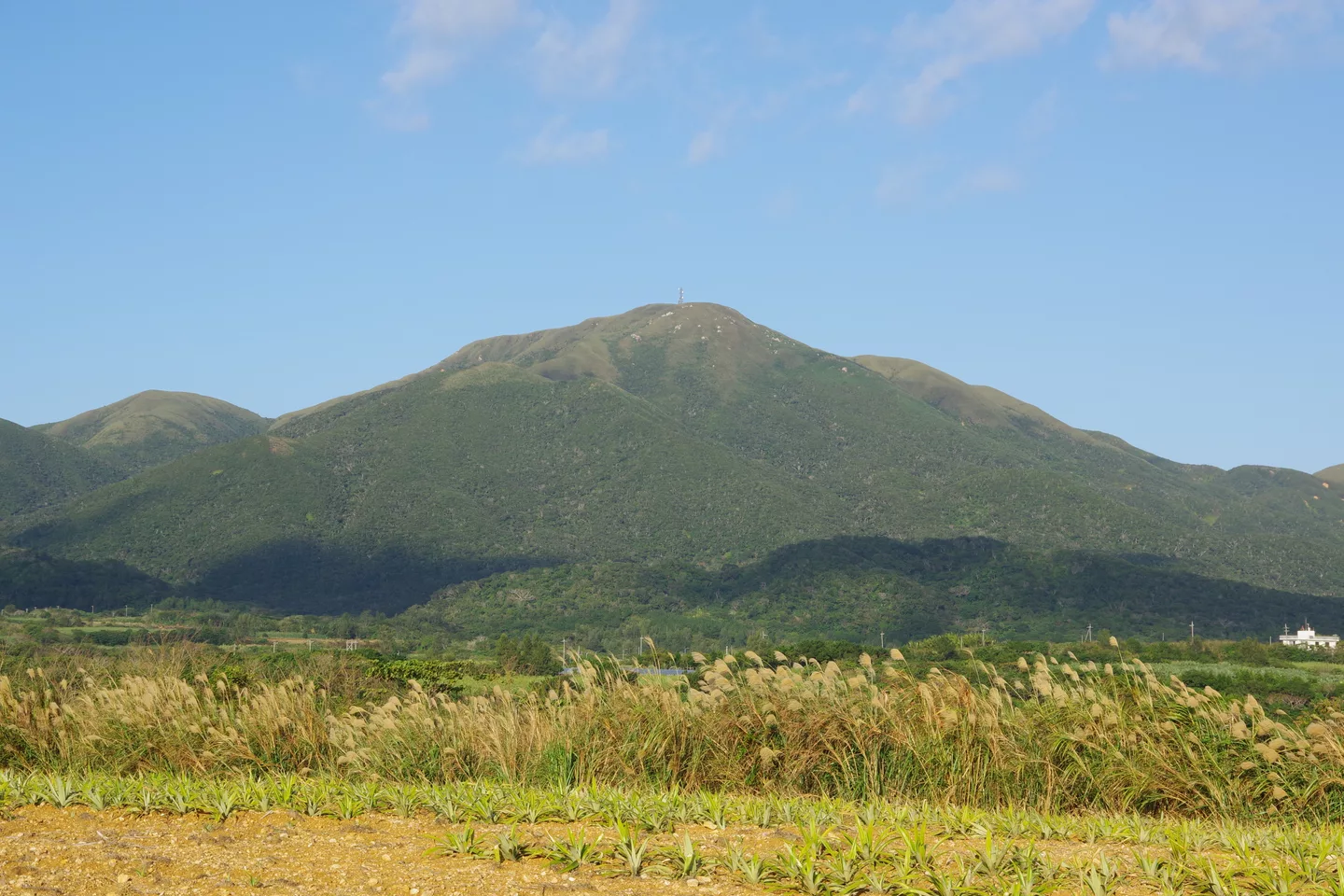Mount Omoto on Ishigaki 201912.jpg