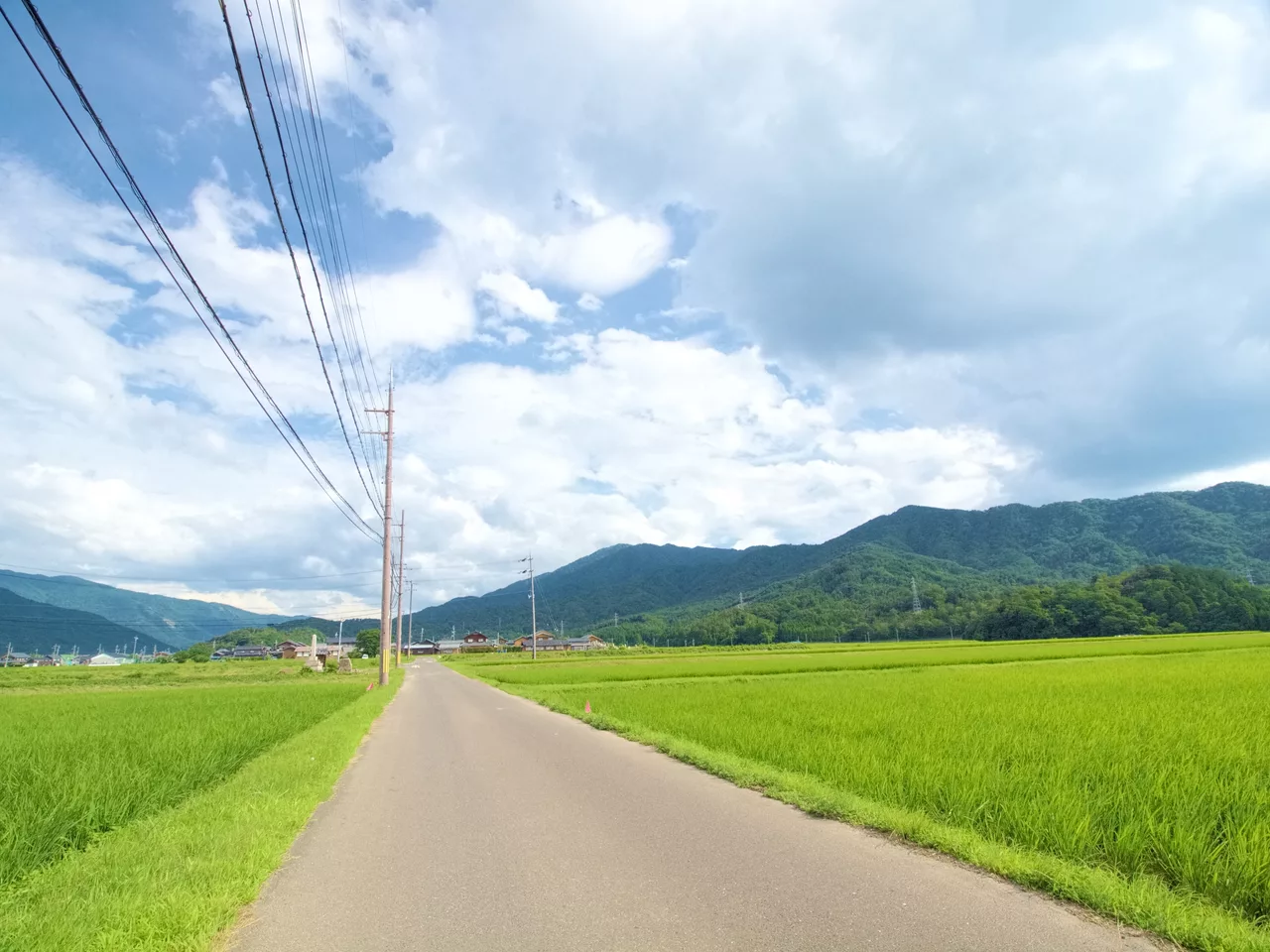 Goichi, Mihama, Mikata District, Fukui Prefecture 919-1141, Japan - panoramio.jpg