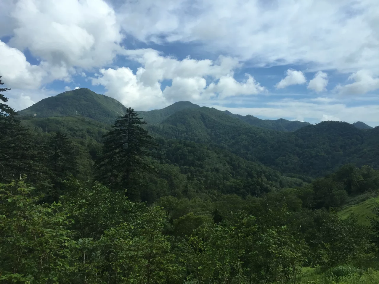 Morino, Shiraoi, Shiraoi District, Hokkaido Prefecture 059-0911, Japan - panoramio.jpg