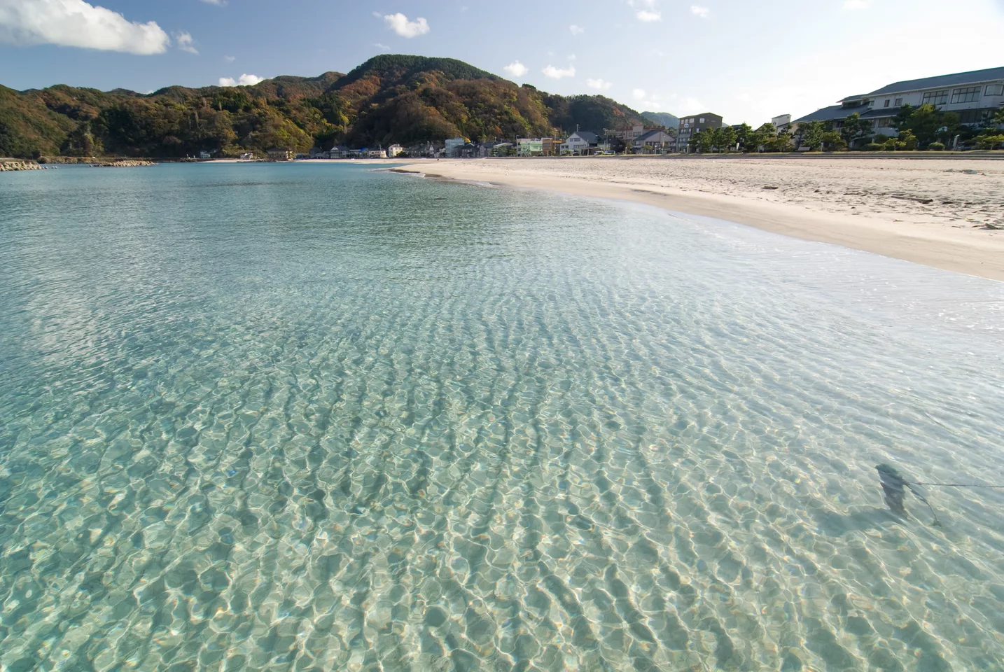 TakenoBeach Hyogo prefecture.jpg