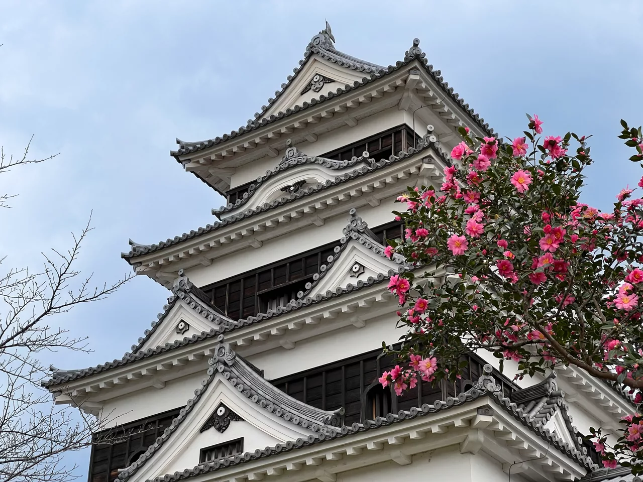 Ozu Castle 20241206 002.jpg