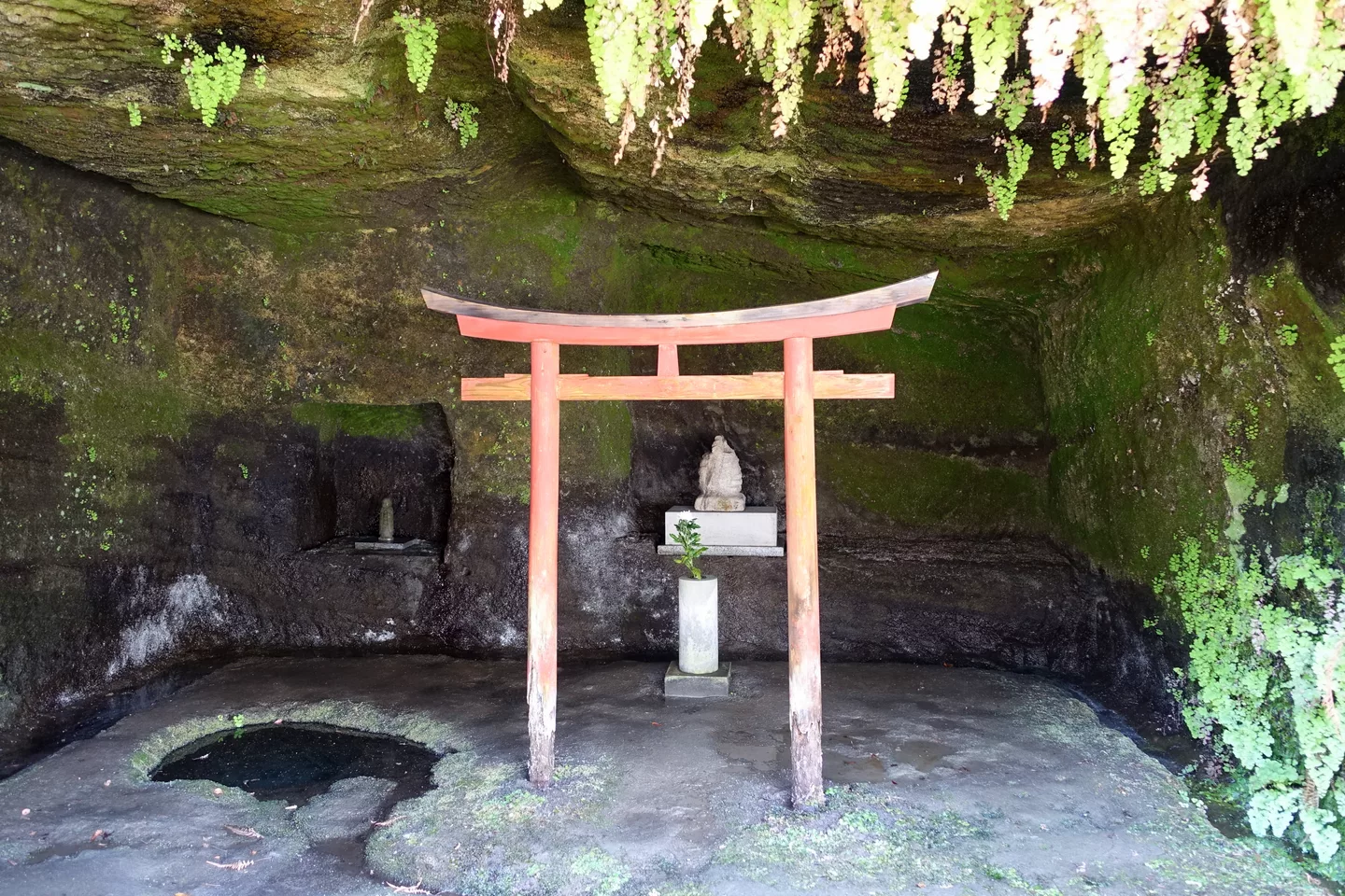 Cave with torii - Kaizo-ji - Kamakura, Kanagawa, Japan - DSC08256.JPG