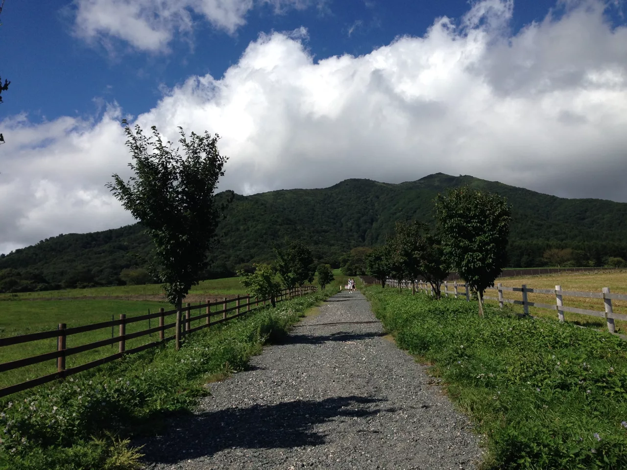Hiruzennakafukuda, Maniwa, Okayama Prefecture 717-0501, Japan - panoramio (5).jpg