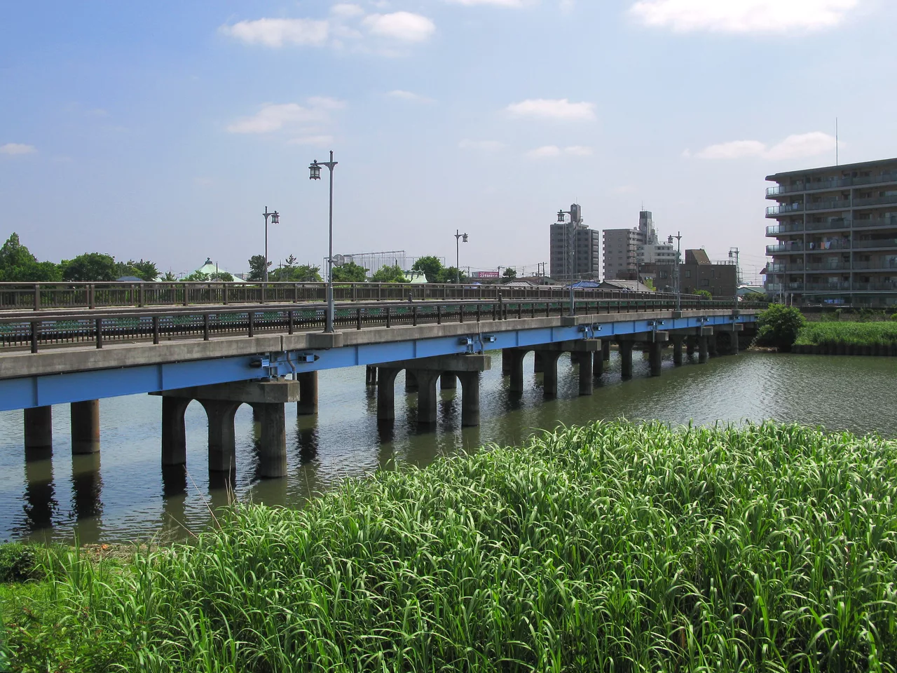 Katsushika Tokyo Yatsurugi Bridge 1.JPG