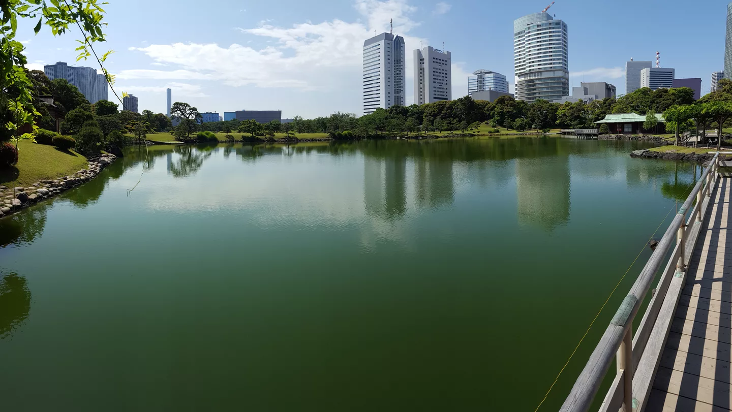 Hamarikyu Gardens.jpg