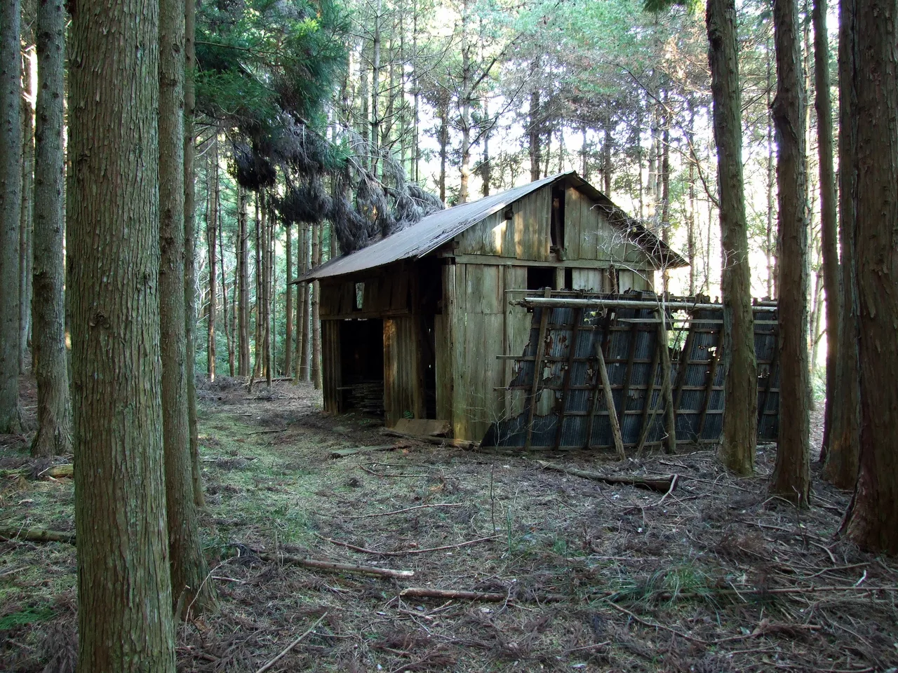 Kiwadahata, Kimitsu, Chiba Prefecture 292-0537, Japan - panoramio - ogajud.jpg