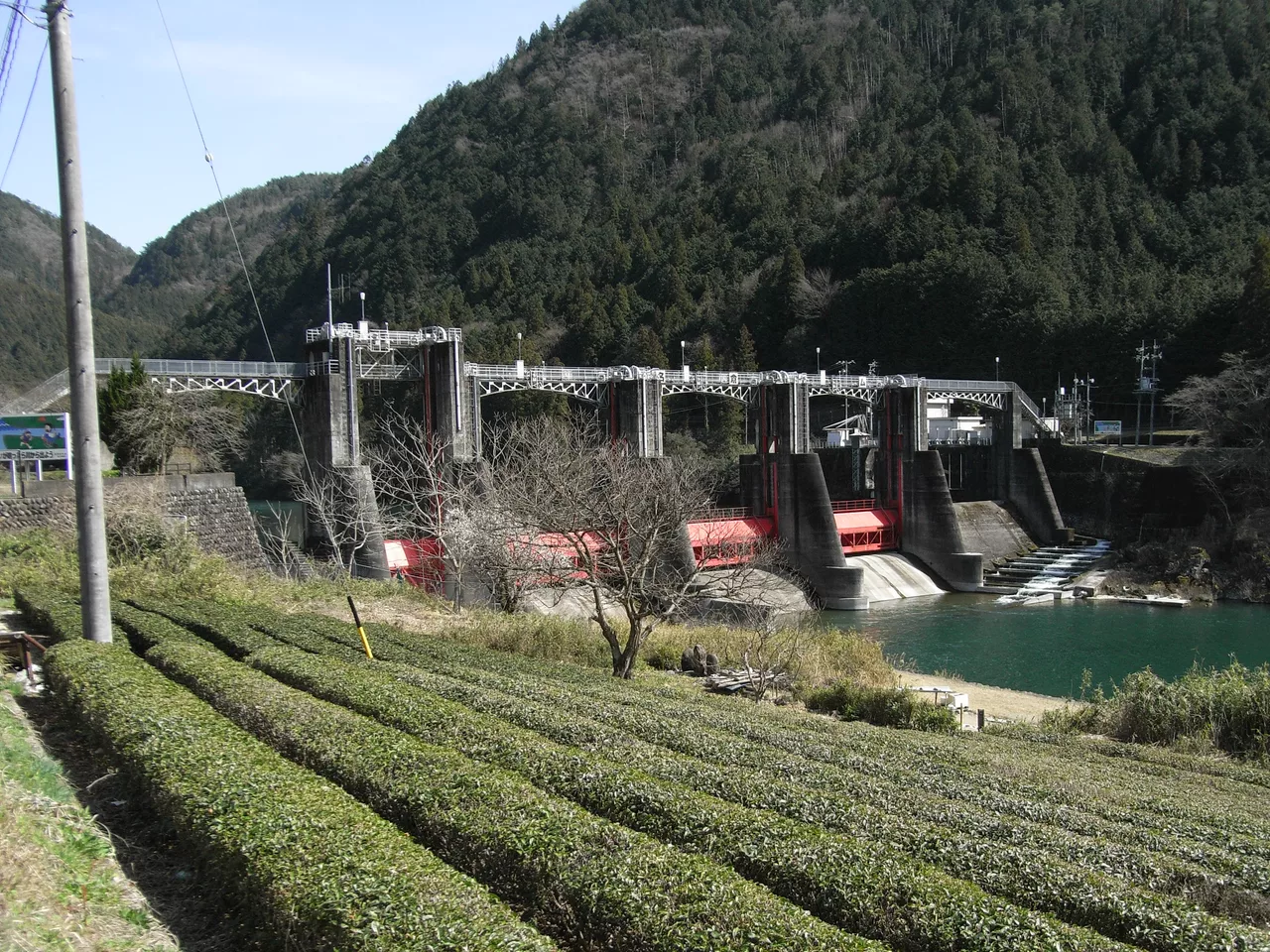 Nagura-s-r1.jpg