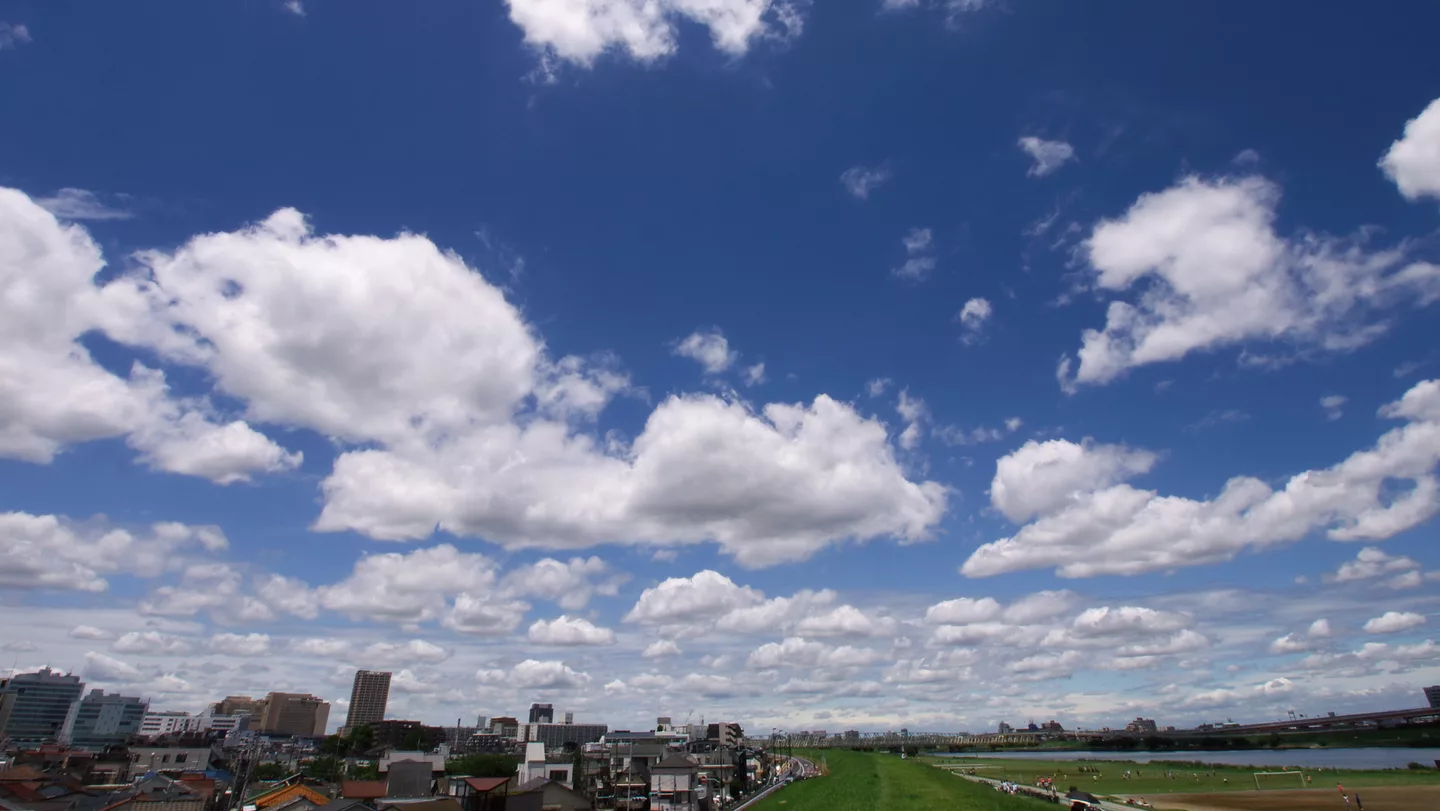 荒川解放区 - panoramio.jpg