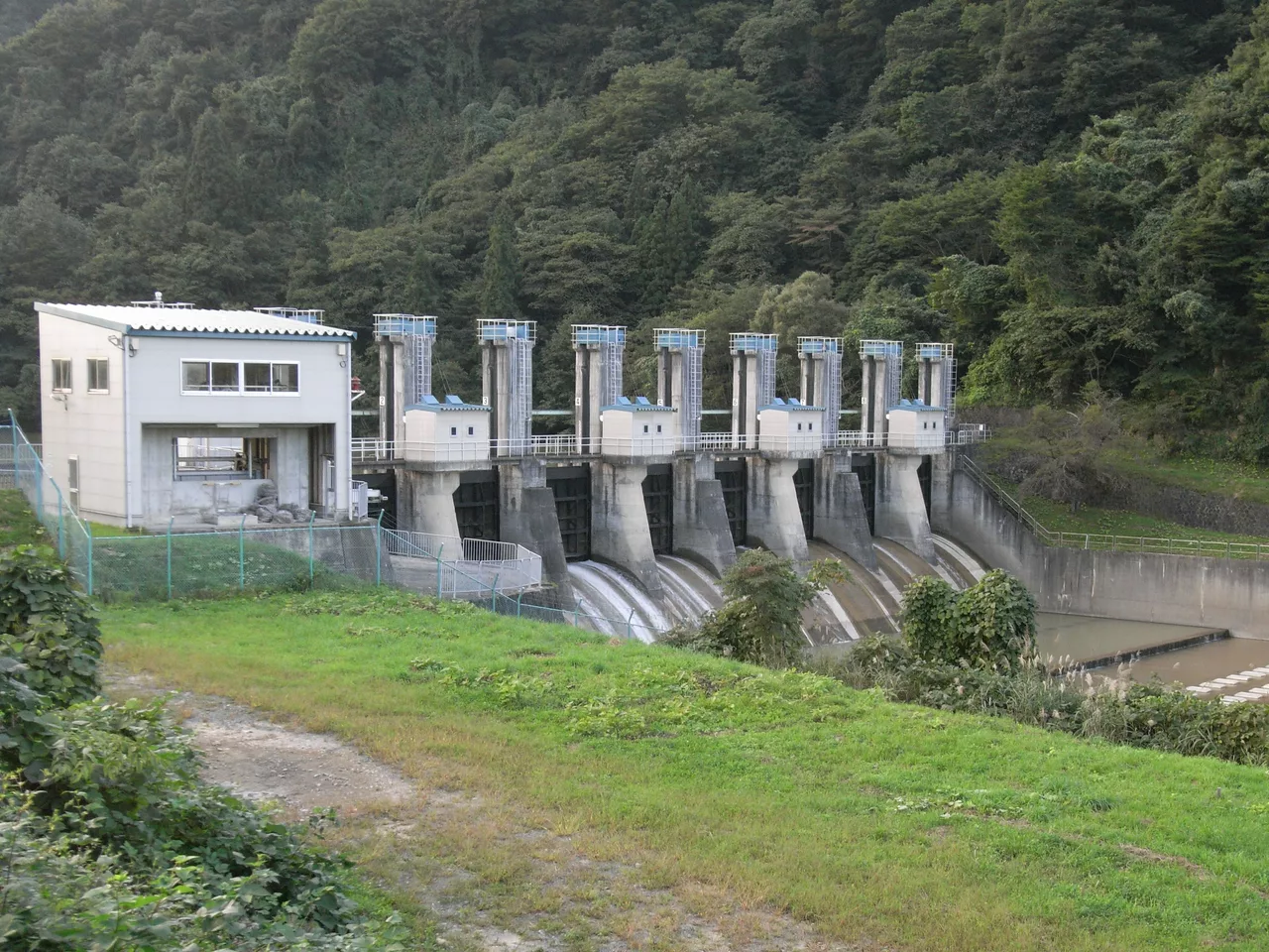 Wakayanagi-s-r1.JPG