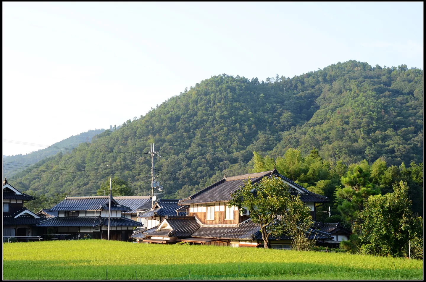 Tanba, Hyogo, Japan 市岛町，丹波，日本 12-08-13 - panoramio.jpg