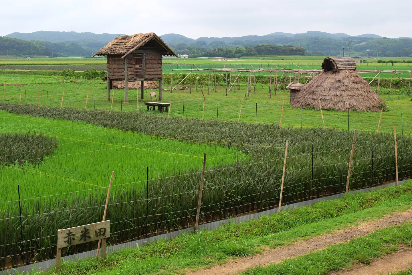 Iki Harunotsuji Ruinsi 2009.jpg