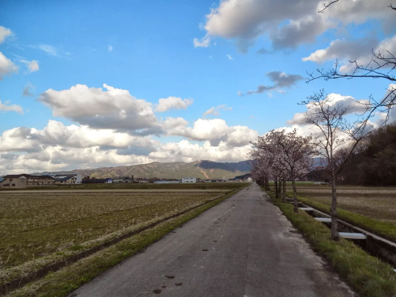 Iwauchimachi, Nomi, Ishikawa Prefecture 923-1201, Japan - panoramio.jpg