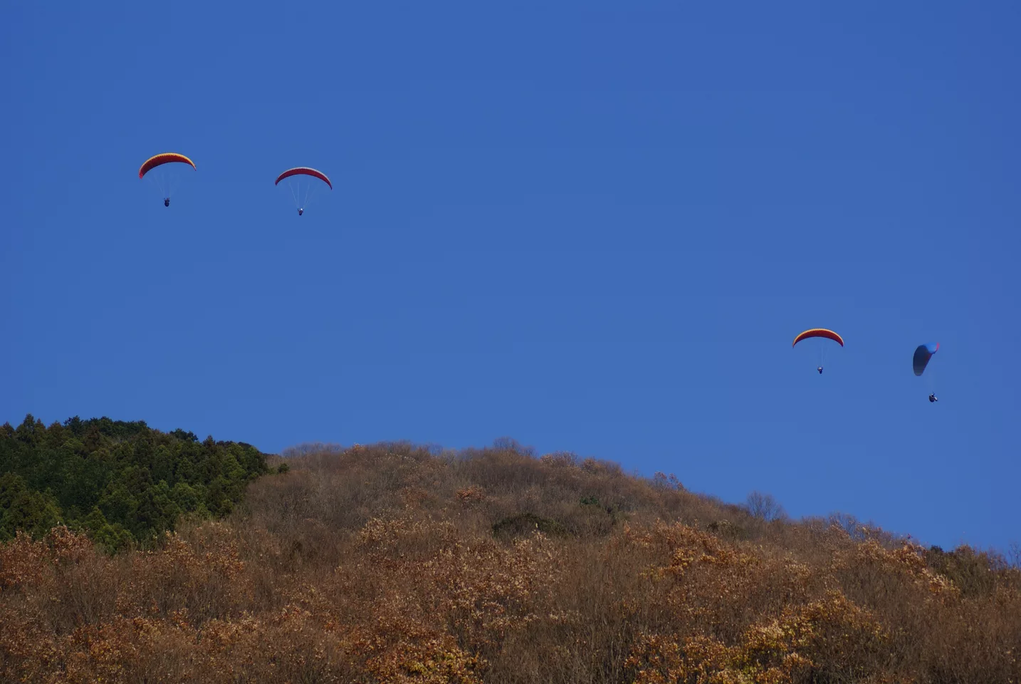 Ono, Tsuchiura, Ibaraki Prefecture 300-4108, Japan - panoramio (1).jpg