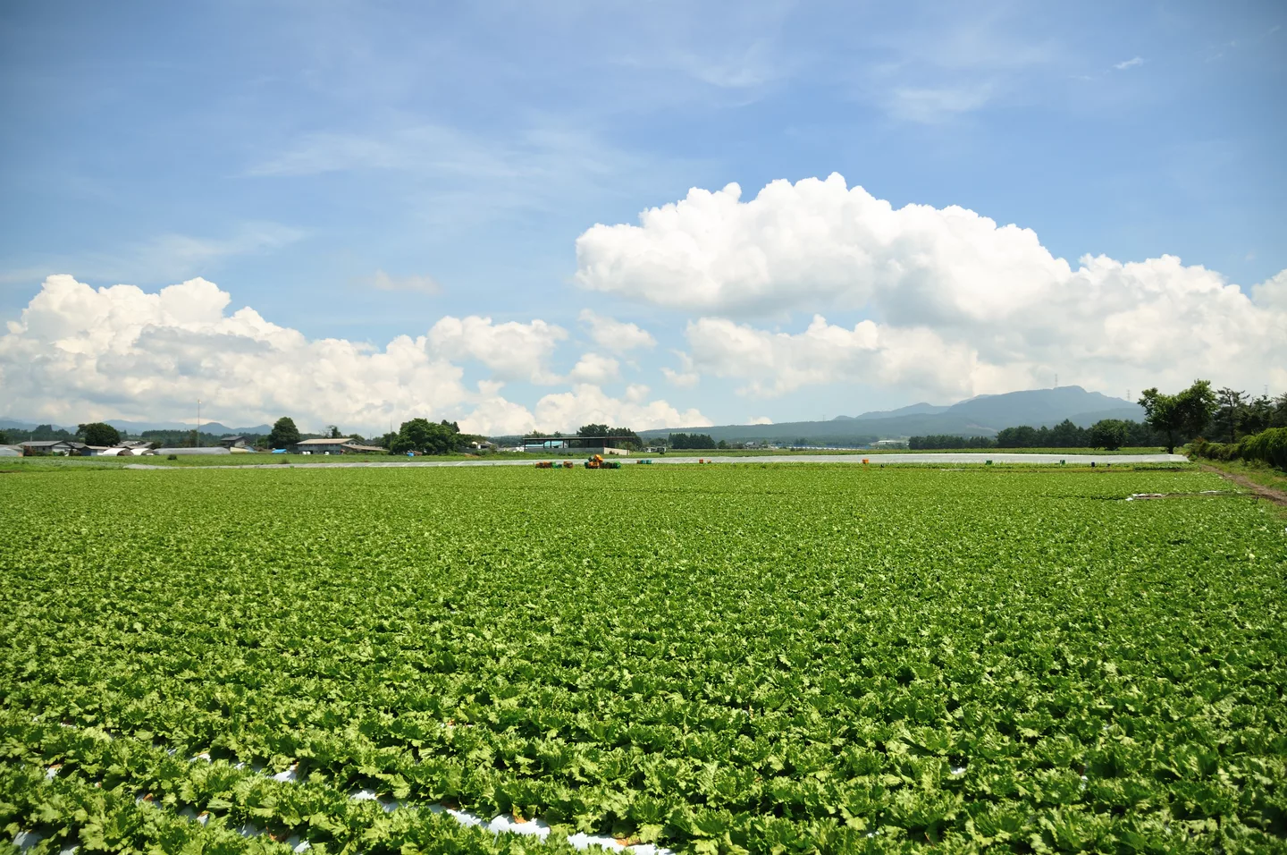 Japan - Gunma, Showa 2010 (4882257252).jpg