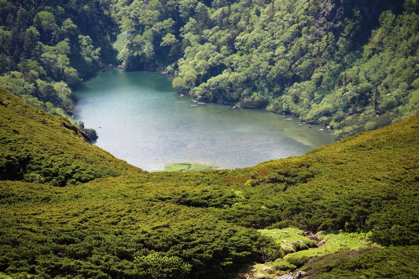 Onyu pond (Mount Norikura s2 zoom).JPG