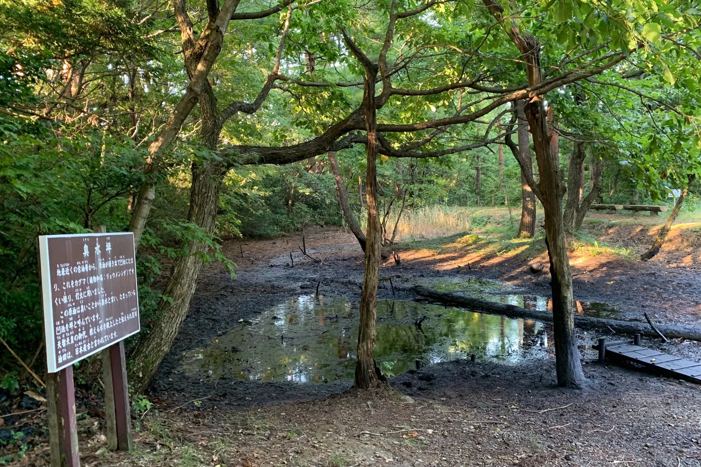 Niigata Tainai Kurokawa Kusozu Oil Pond Sep2021.jpg