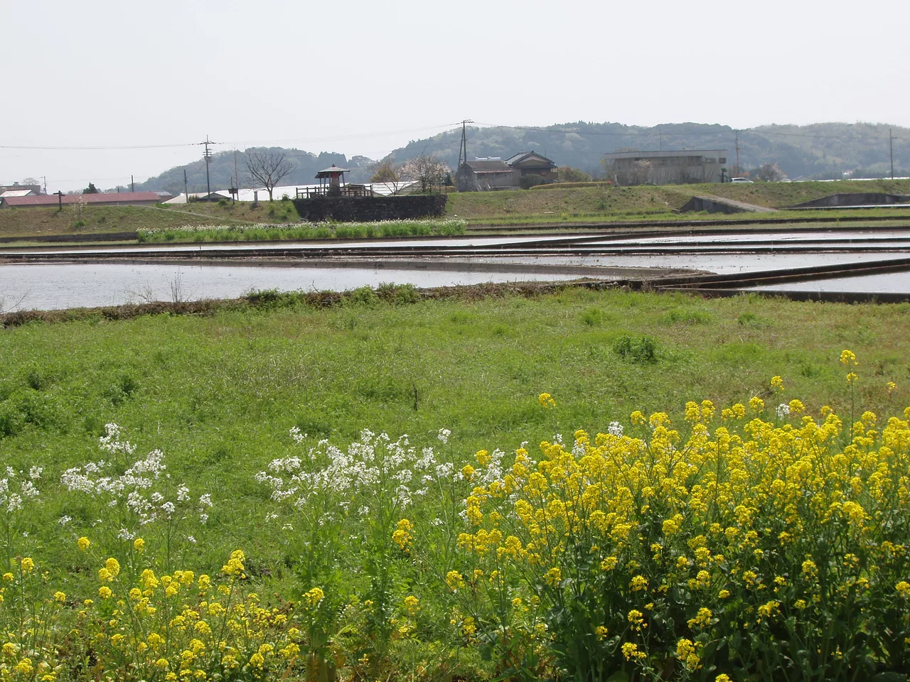 Nankoku-City - panoramio.jpg