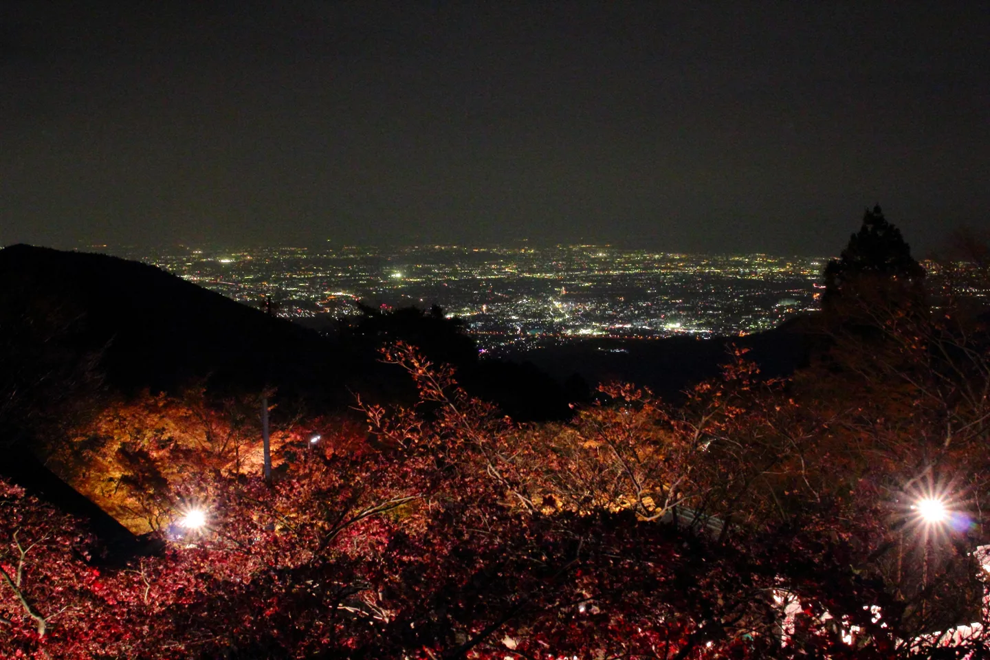 阿夫利神社からの夜景, Night view from Afuri Shirine - panoramio.jpg