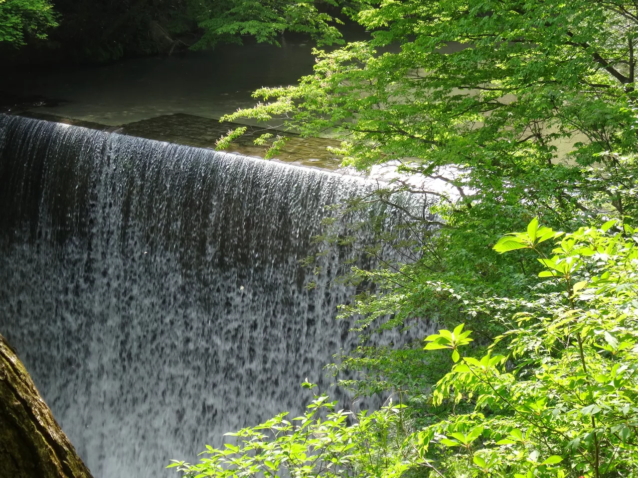 Tanukikubo Tsuryū, Nishigō-mura, Nishishirakawa-gun, Fukushima-ken 961-8081, Japan - panoramio.jpg