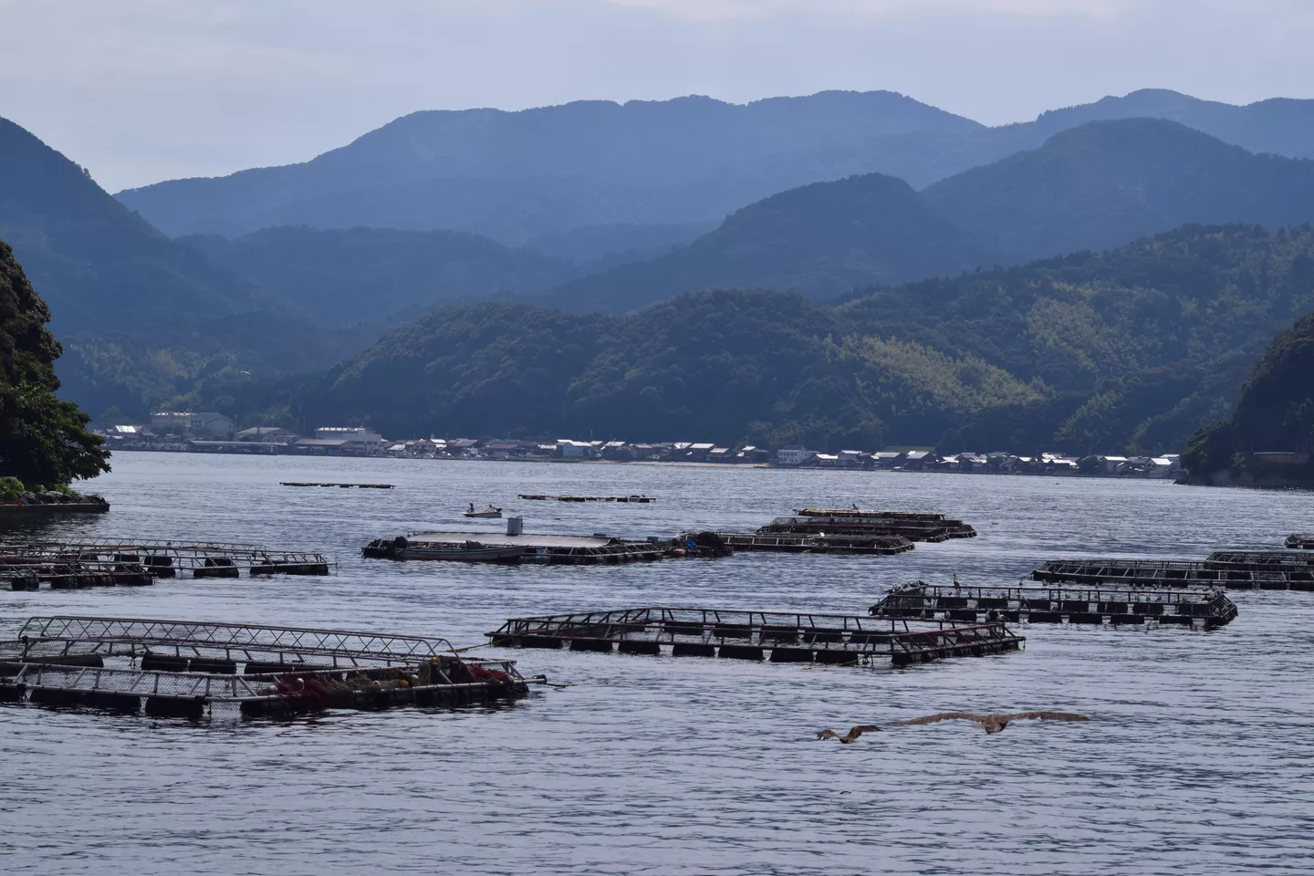 Wakasa bay around Ine town (29654487396).jpg