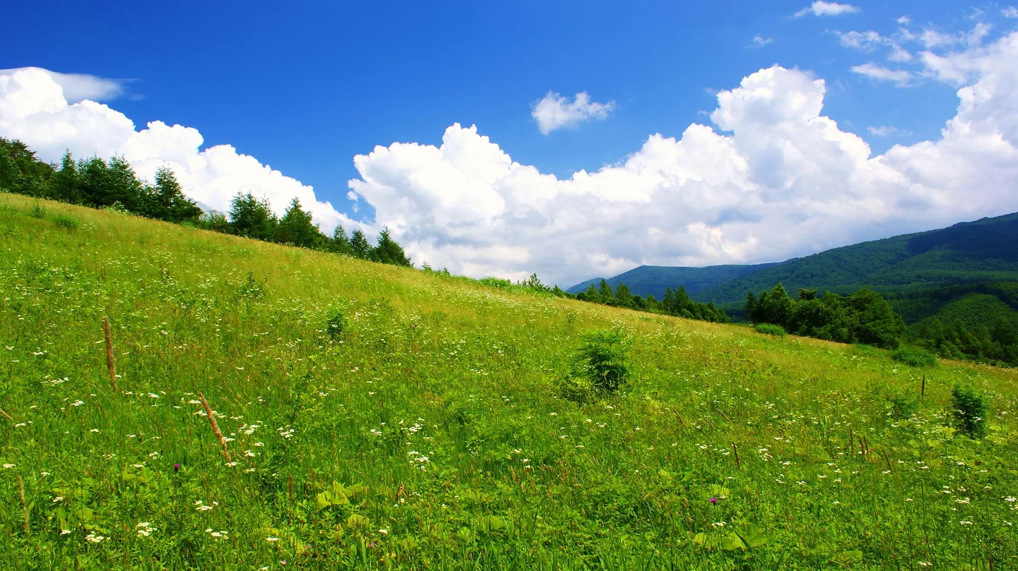 兜明神の花畑 - panoramio.jpg