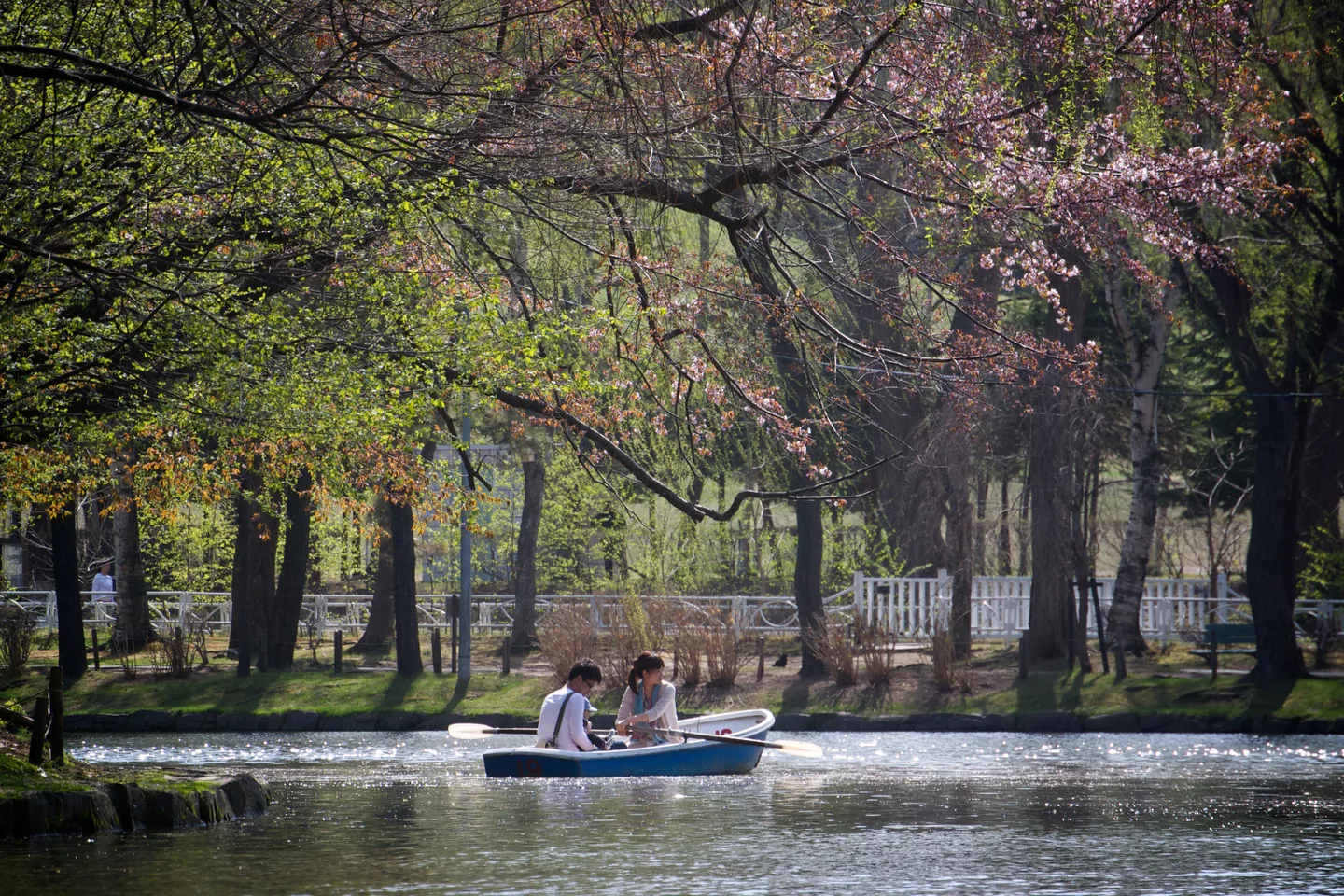 Sakura at Tsukisamu Park (7137275327).jpg