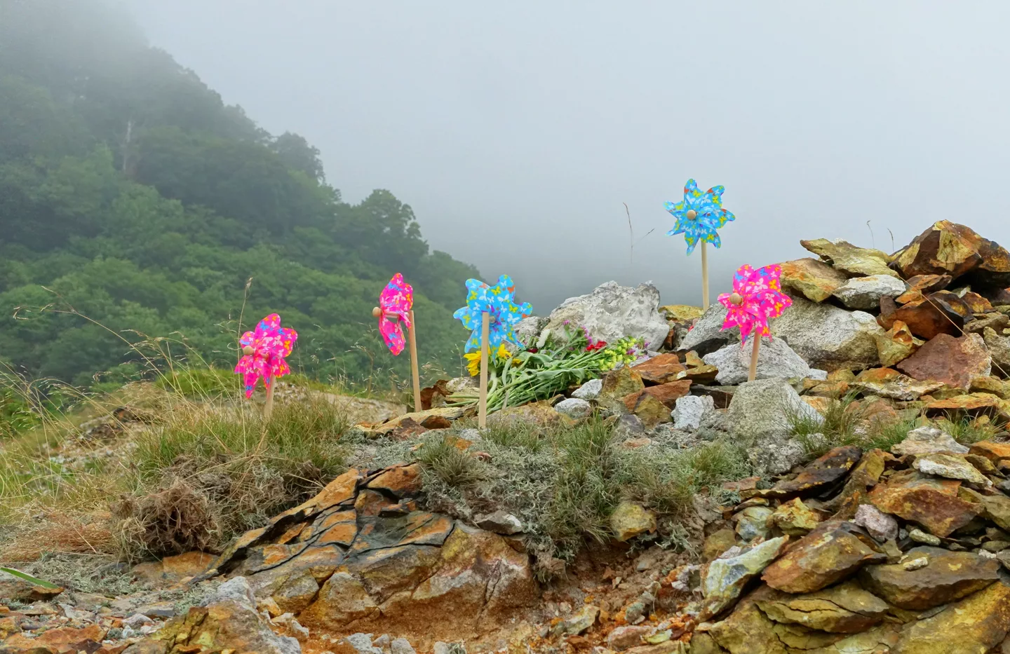 Pinwheels - Mount Osore - Mutsu, Aomori - DSC00653